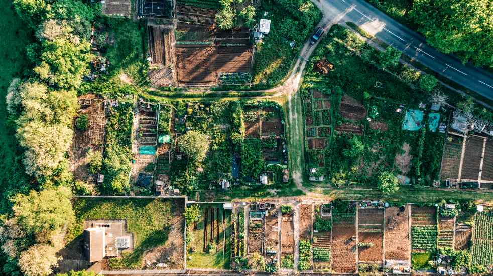 aerial view of allotments